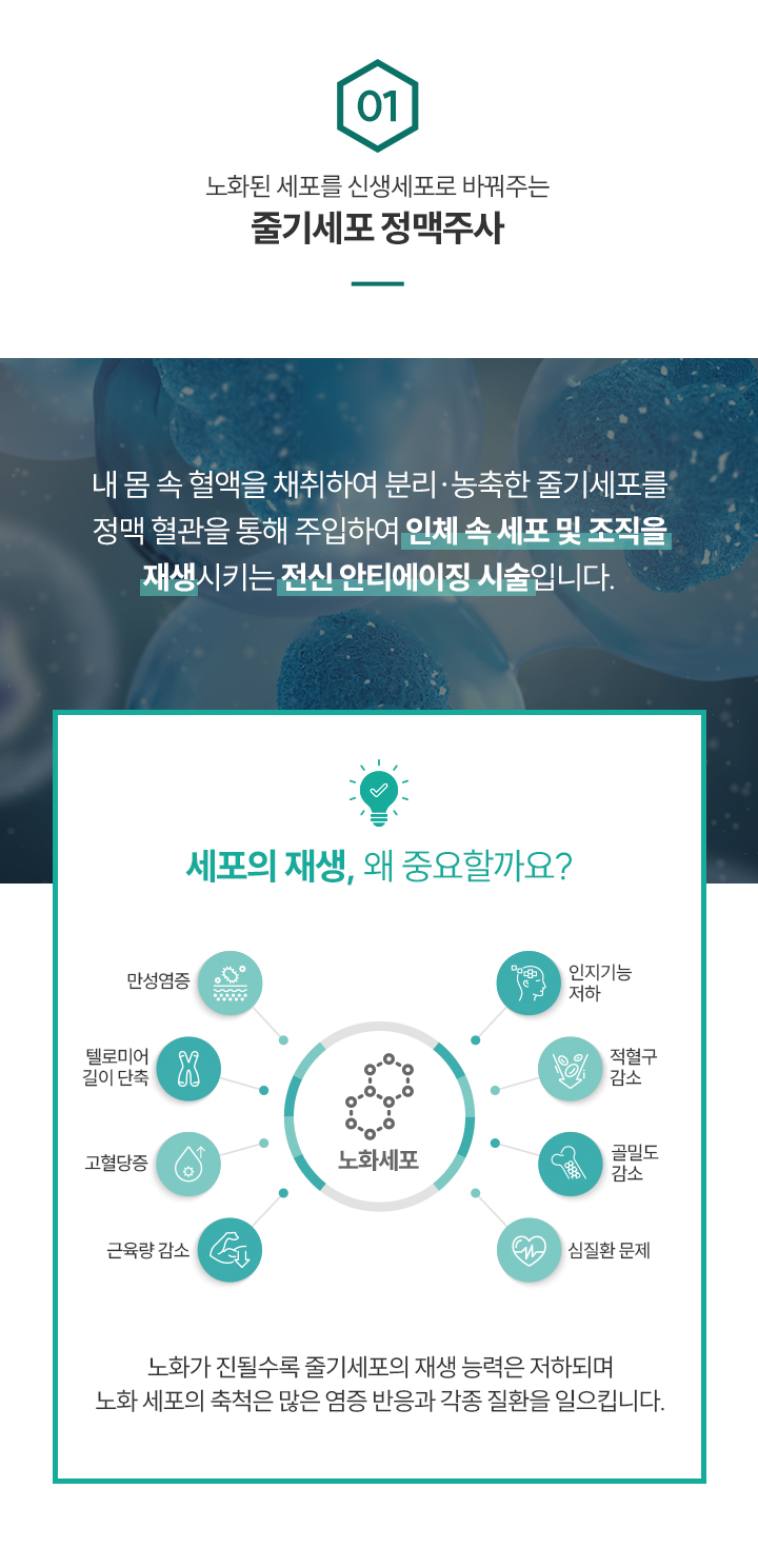 m_06_자가혈액줄기세포02