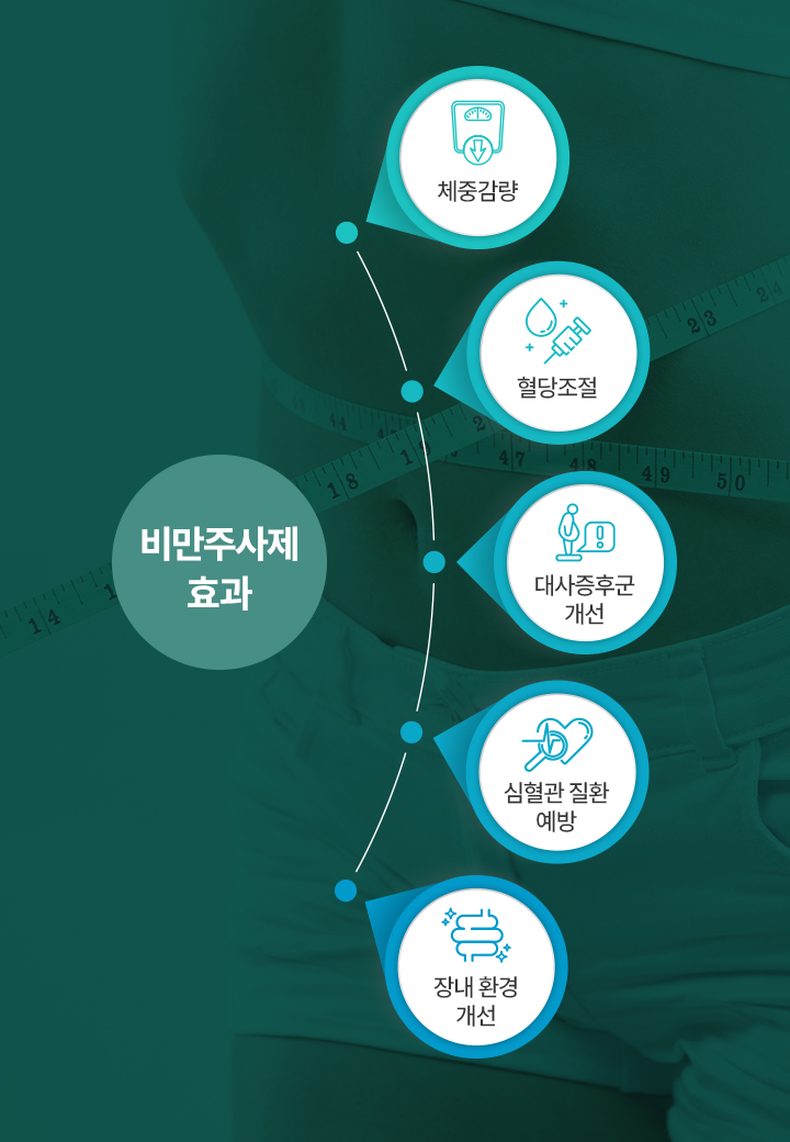 m_08_비만클리닉02