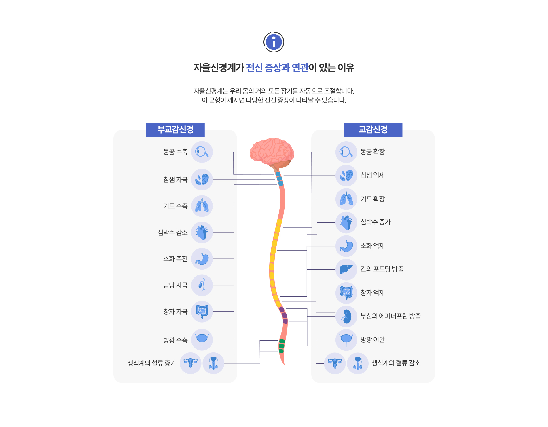 자율신경주사치료_02